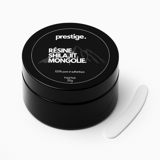 Résine Shilajit Mongolie